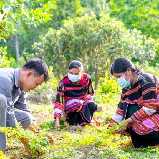 Vua Đặc Sản Tây Bắc 